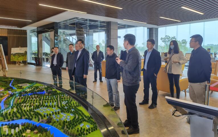 广西旅发集团党委书记、董事长容贤标考察集团文旅项目