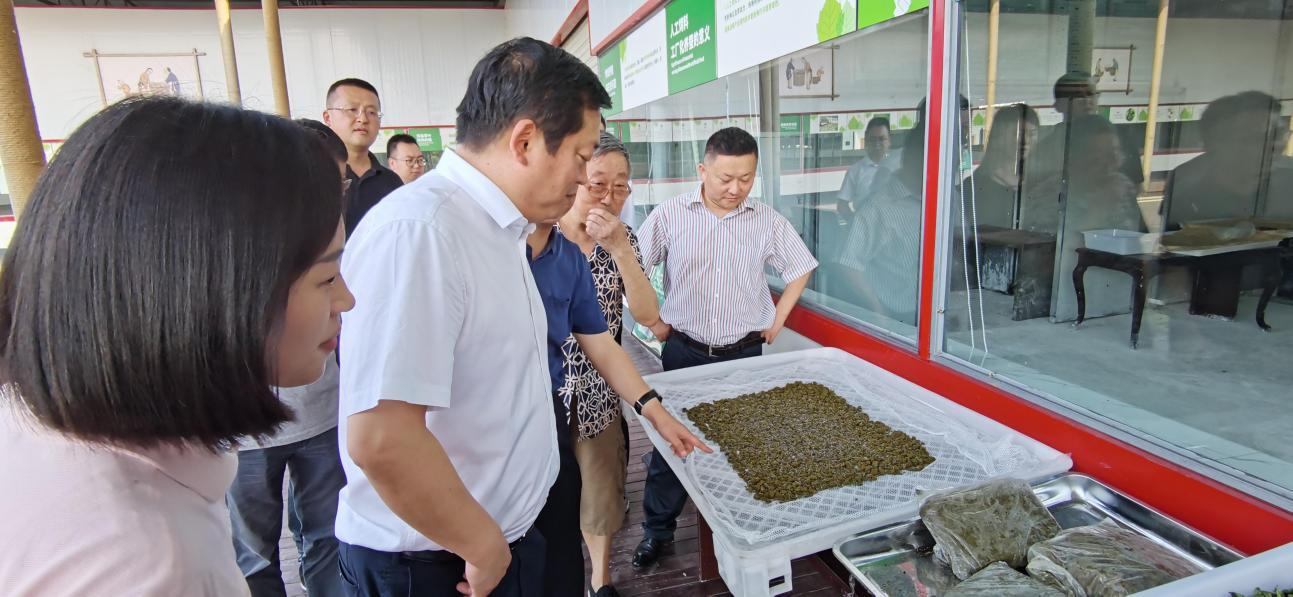 省必发888集团党委副书记、董事陈日赴嘉陵区调研茶桑产业发展情况