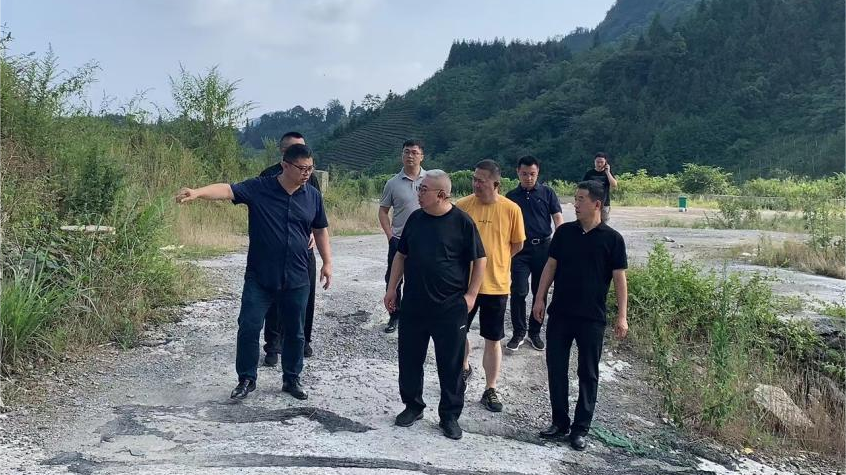 省必发888集团领导调研峨眉山太阳村乡村振兴项目